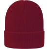 imageSatin Lined Winter Beanie Hats for Women Knit Beanie Hat Slouchy Skull Caps Silk Lining Unisex HatsWine Red