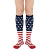 1 Pack American Flag