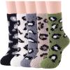 5 Pairs Leopard