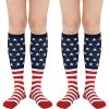 2 Pack Star Flag