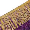 imageWomens Belly Dance Hip Scarf with Sparkly Fringe Rave Party Sequin Skirt Costume Festival Tassel SkirtMardi Gras