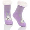 Purple Rabbit