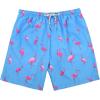 imageAmerican Trends Mens Swim Trunks Board Shorts Quick Dry Mens Swimming Trunks with Compression LinerA Sky Blue Flamingo