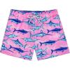 Pink Blue Shark