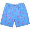 imageAmerican Trends Mens Swim Trunks Beach Shorts Athletic Swimwear Bathing Suits Swimming Trunks QuickDry Swimming SuitFlamingo