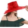 image2025 KentuckyDerby Fascinators Hats for Women Church Tea Party Hats AccessoriesA Red