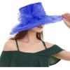 image2025 KentuckyDerby Fascinators Hats for Women Church Tea Party Hats AccessoriesBlue