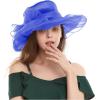 image2025 KentuckyDerby Fascinators Hats for Women Church Tea Party Hats AccessoriesBlue