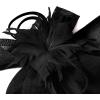 image2025 KentuckyDerby Fascinators Hats for Women Tea Party Hats Headwear Hair Clip for Wedding ChurchBlack