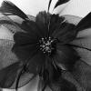 imageKentuckyDerby Fascinators Hat Tea Party Wedding Church Hat Headwear Hair Clip 2025Black