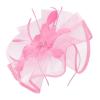 imageKentuckyDerby Fascinators Hat Tea Party Wedding Church Hat Headwear Hair Clip 2025Pink