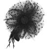 image2025 KentuckyDerby Fascinators Hats Tea Party Church Wedding Hats for Women Hair Clip HeadwearA2black