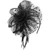 image2025 KentuckyDerby Fascinators Hats Tea Party Church Wedding Hats for Women Hair Clip HeadwearA2black