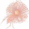 image2025 KentuckyDerby Fascinators Hats Tea Party Church Wedding Hats for Women Hair Clip HeadwearChampagne