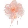 image2025 KentuckyDerby Fascinators Hats Tea Party Church Wedding Hats for Women Hair Clip HeadwearChampagne