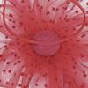 image2025 KentuckyDerby Fascinators Hats Tea Party Church Wedding Hats for Women Hair Clip HeadwearRed