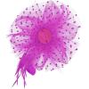 image2025 KentuckyDerby Fascinators Hats Tea Party Church Wedding Hats for Women Hair Clip HeadwearRosered