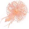 imageAmerican Trends Fascinators Hat for Women Tea Party Hats Headband Flower Mesh Feathers Hair ClipD Champagne