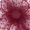 imageAmerican Trends Fascinators Hat for Women Tea Party Hats Headband Flower Mesh Feathers Hair ClipD Wine Red