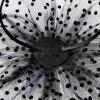 imageAmerican Trends Fascinators Hat for Women Tea Party Hats Headband Flower Mesh Feathers Hair ClipWhiteblack
