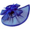 image:image2025 KentuckyDerby Fascinators Hats for Women Tea Party Hats Headwear Hair Clip for Wedding ChurchBlue