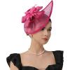 image:image2025 KentuckyDerby Fascinators Hats for Women Tea Party Hats Headwear Hair Clip for Wedding ChurchHot Pink