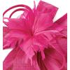 image:image2025 KentuckyDerby Fascinators Hats for Women Tea Party Hats Headwear Hair Clip for Wedding ChurchHot Pink