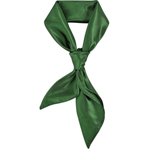 image:imageAmerican Trends 235 Womens Satin Scarf Lightweight Silk Feeling Neck Scarf Square Neckerchief for Daily Wear amp CostumesDark Green